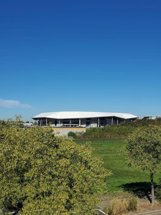 T4 Terrasse Et Box - Groupama Stadium-Eurexpo-Lyon 梅济约 外观 照片